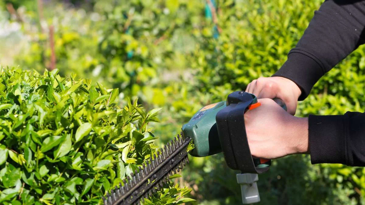 Hagebaumarkt-Sommersale: Gartengeräte jetzt bis zu 42 % günstiger